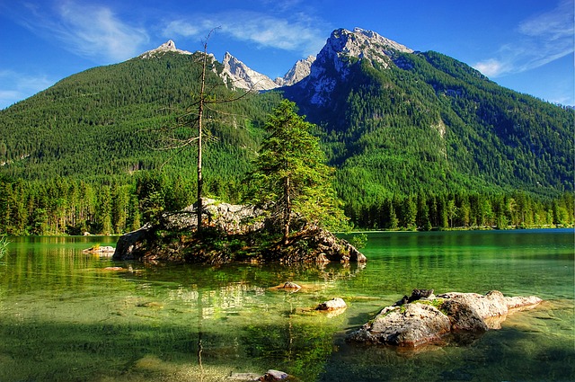 国王管理层